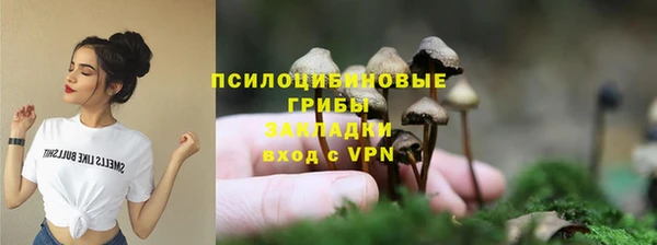ешки Белокуриха