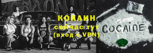 ешки Белокуриха