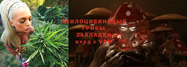 ешки Белокуриха