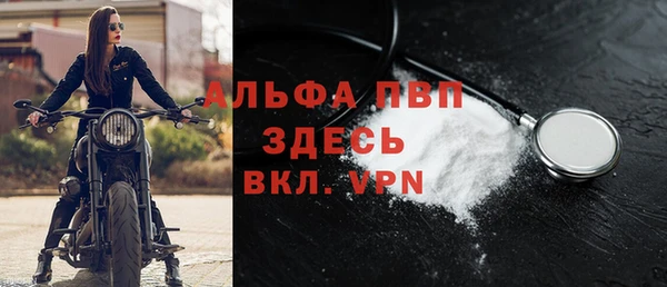 ешки Белокуриха