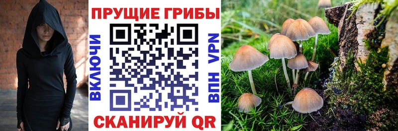 Псилоцибиновые грибы мицелий  кракен ТОР  Шарья 